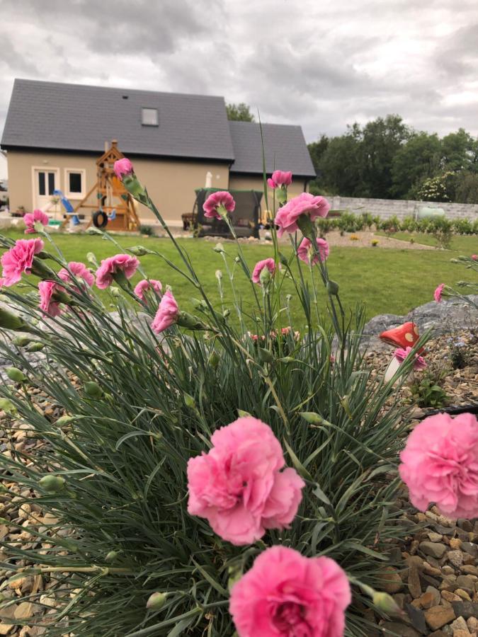 Tir Na Spideoga Villa Ennis Exterior photo